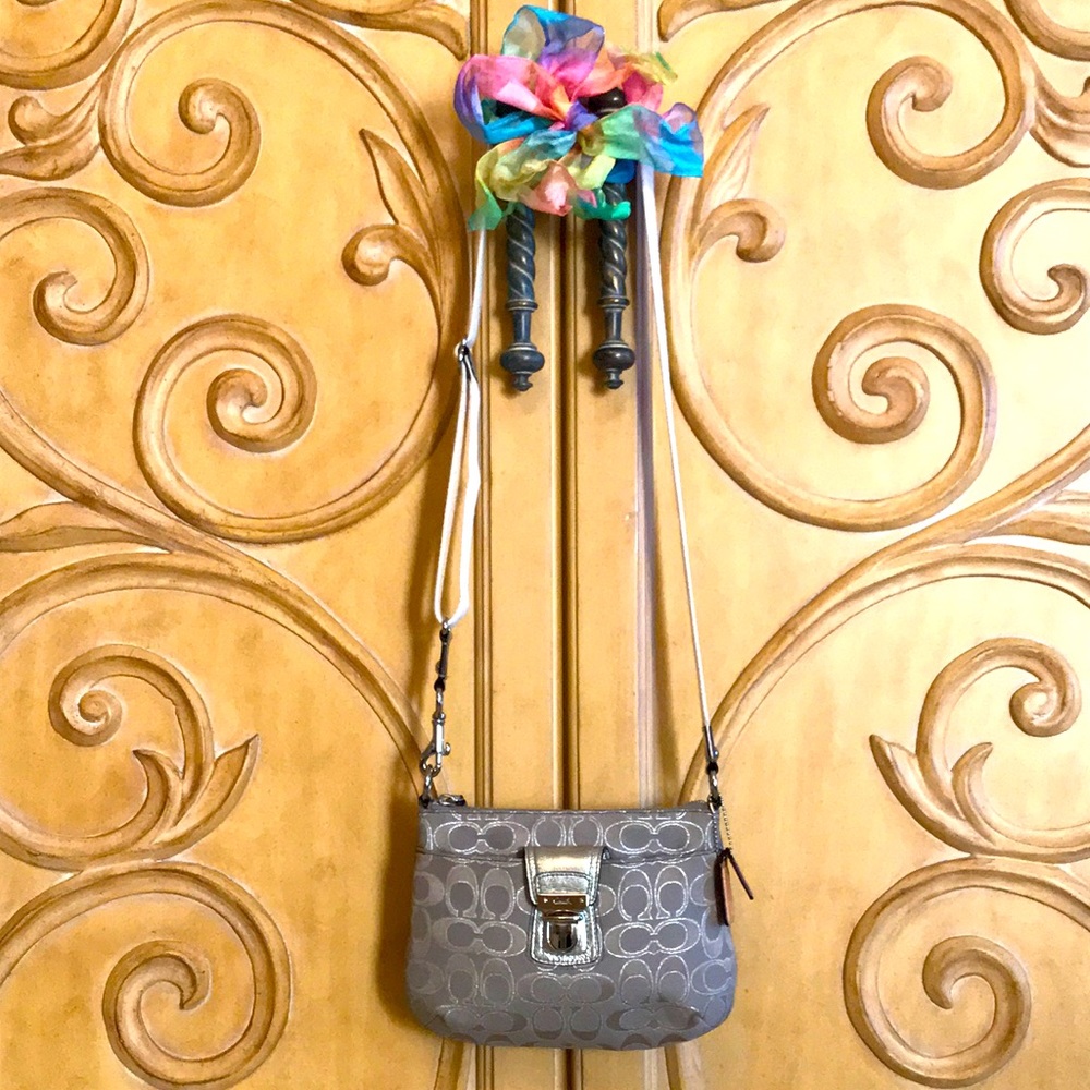 Coach Crossbody Bag Gray & Silver.